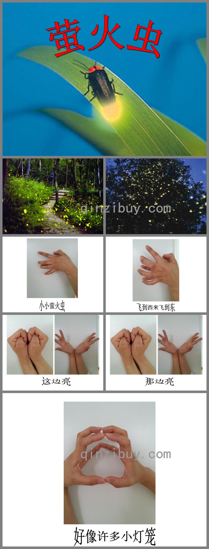 小班手指游戲螢火蟲PPT課件