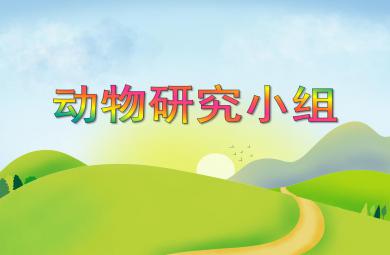 大班綜合動物研究小組PPT課件