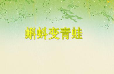 中班科學活動蝌蚪變青蛙PPT課件