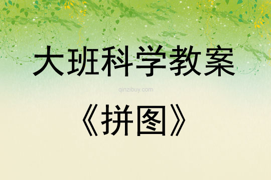 大班科學活動拼圖反思