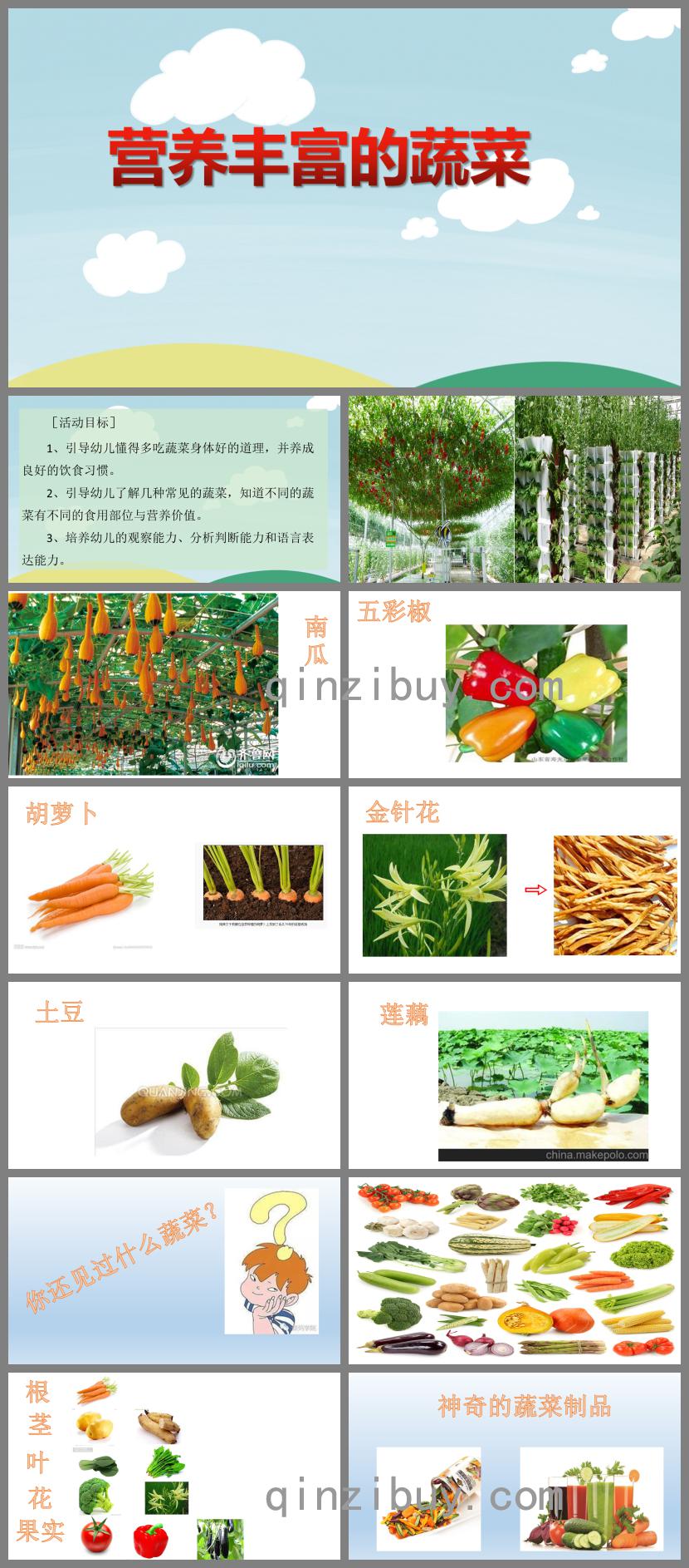 大班健康活動(dòng)營(yíng)養(yǎng)豐富的蔬菜PPT課件