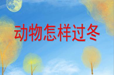 大班社會說課稿動物怎樣過冬PPT課件