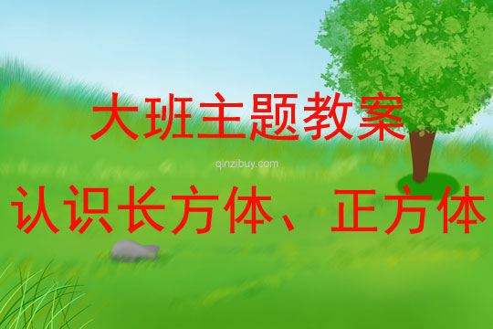 大班主題認(rèn)識(shí)長(zhǎng)方體、正方體教案反思