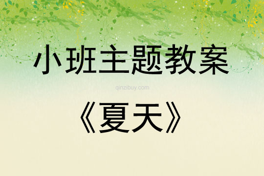 小班主題活動夏天教案