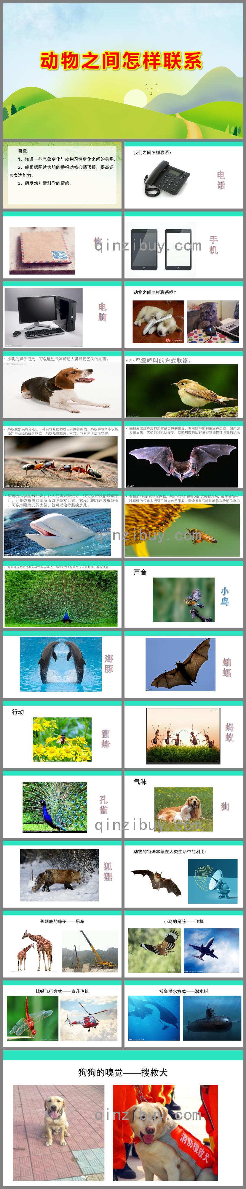 大班科學活動動物之間怎樣聯系PPT課件