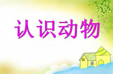 小班英語認識動物PPT課件