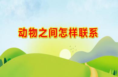 大班科學活動動物之間怎樣聯系PPT課件