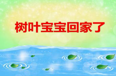 大班科學(xué)樹(shù)葉寶寶回家了PPT課件