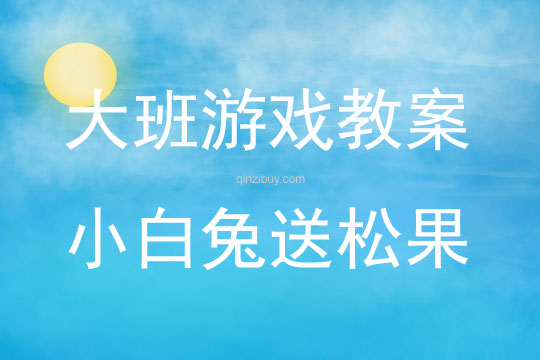 大班戶外游戲小白兔送松果教案反思