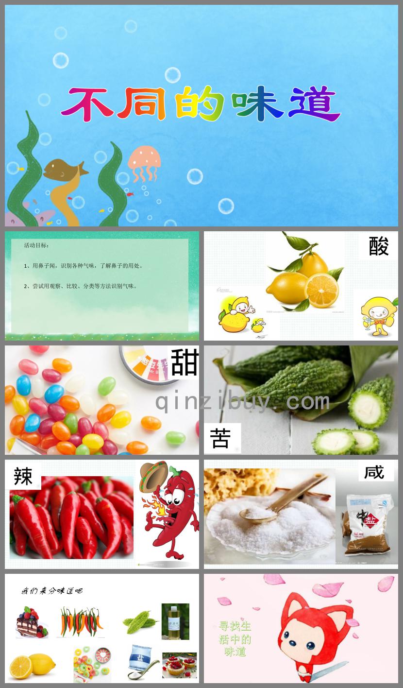 中班科學活動不同的味道PPT課件