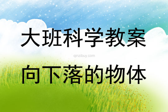 大班科學活動向下落的物體教案反思