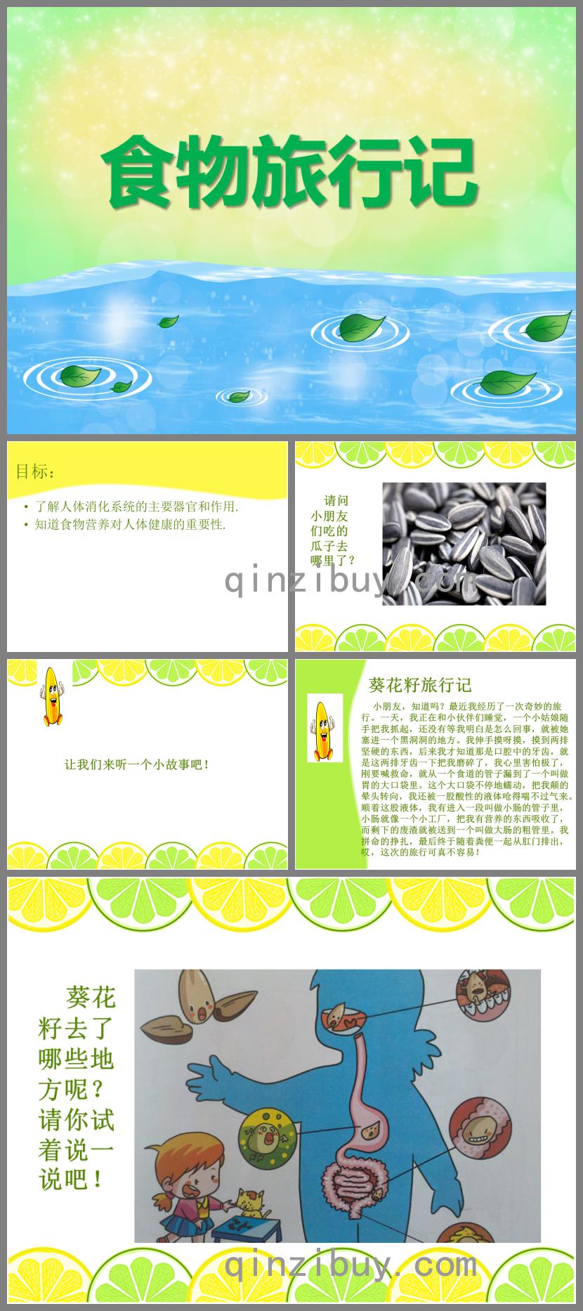 大班健康活動食物旅行記PPT課件