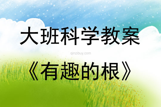 大班科學有趣的根教案反思