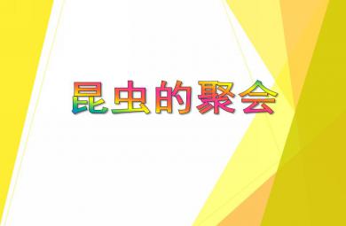 中班科學昆蟲的聚會PPT課件