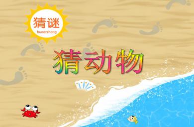 大班語言猜動物PPT課件