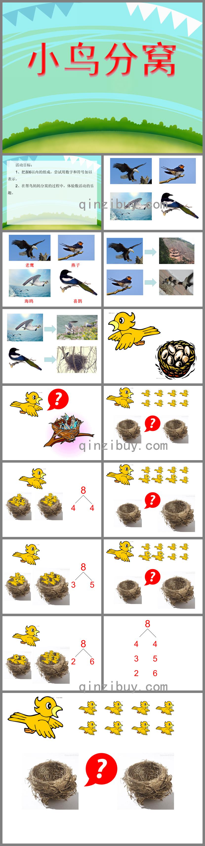 大班數學優質課小鳥分窩PPT課件