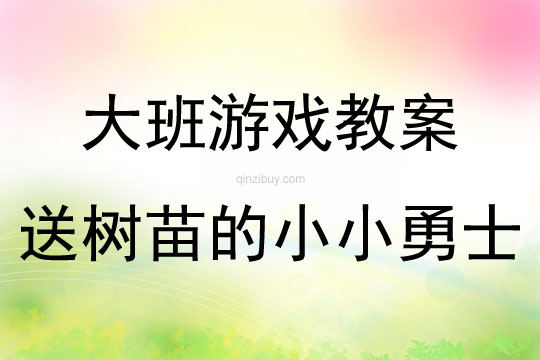 大班體育環(huán)保游戲活動(dòng)送樹苗的小小勇士教案反思