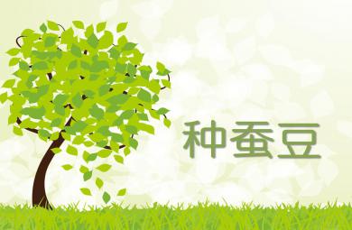 中班科學活動優質課種蠶豆PPT課件