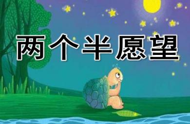 大班綜合兩個半愿望PPT課件
