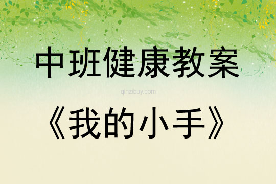 中班健康活動我的小手教案反思