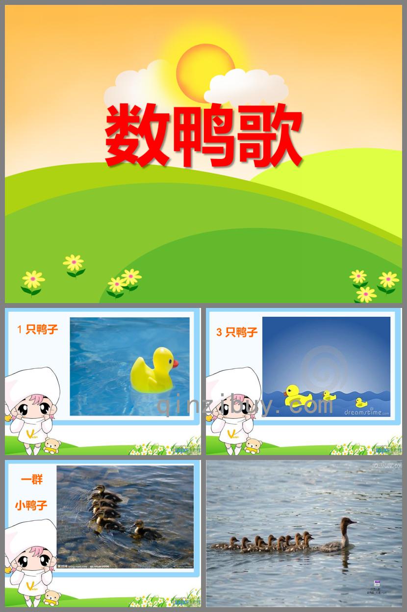 中班音樂數(shù)鴨歌PPT課件視頻