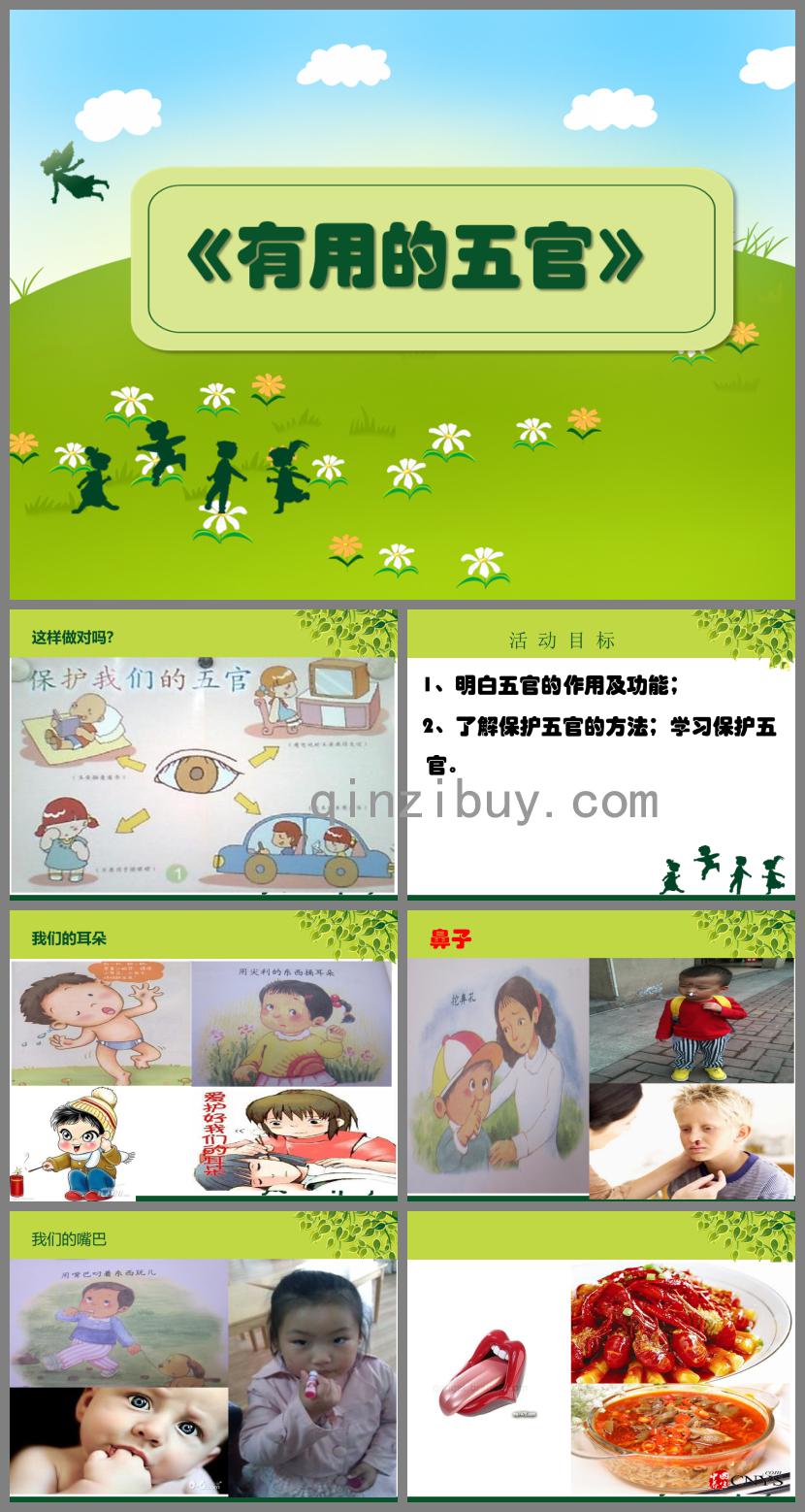大班健康活動有用的五官PPT課件