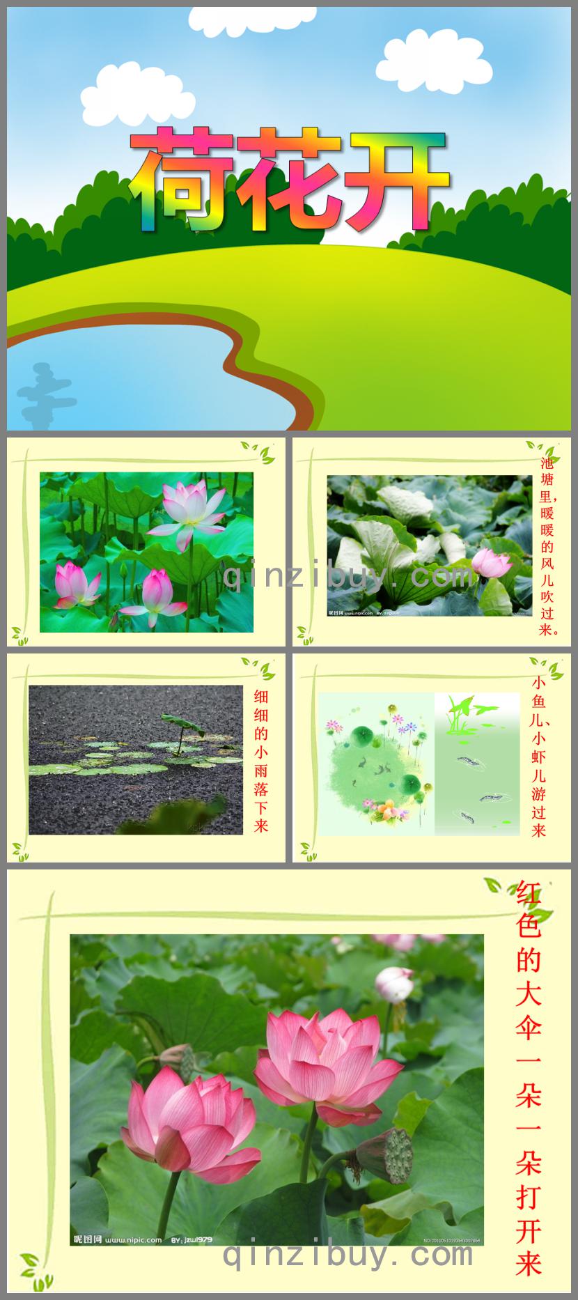 中班語言活動荷花開PPT課件