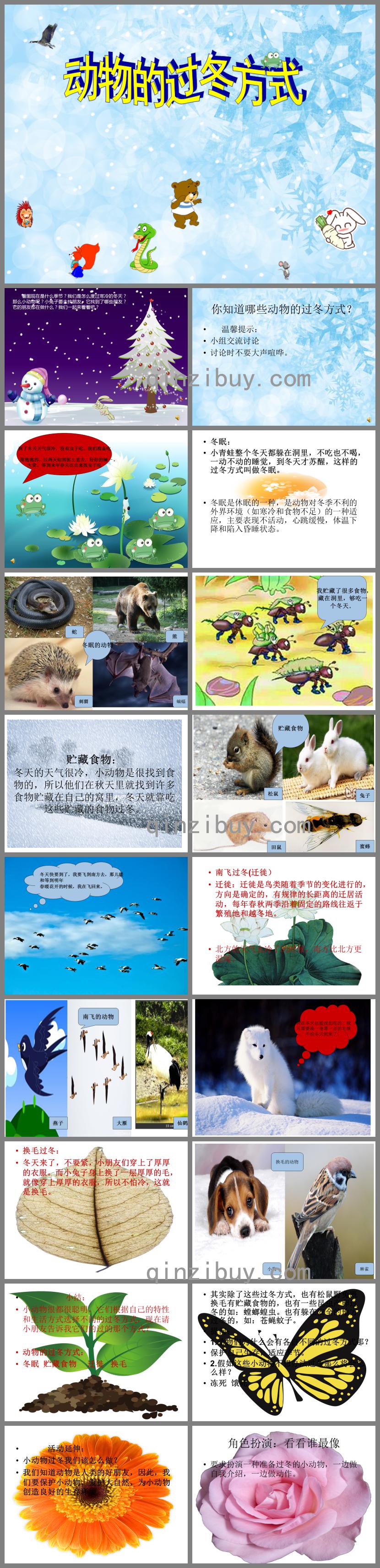 大班科學教育動物的過冬方式PPT課件音頻