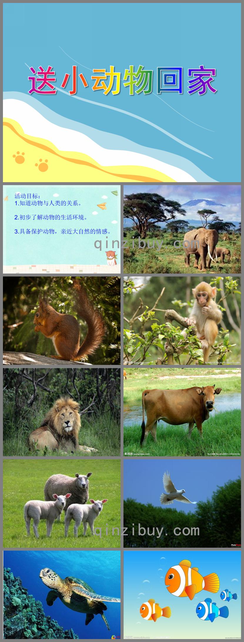 中班科學(xué)活動送小動物回家PPT課件