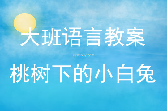 大班語(yǔ)言教學(xué)桃樹(shù)下的小白兔教案反思