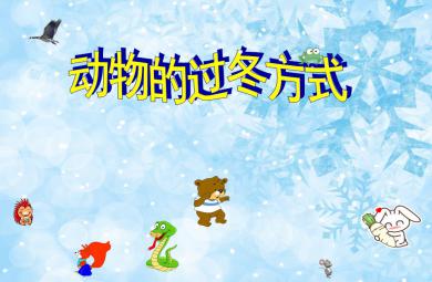 大班科學(xué)教育動物的過冬方式PPT課件音頻