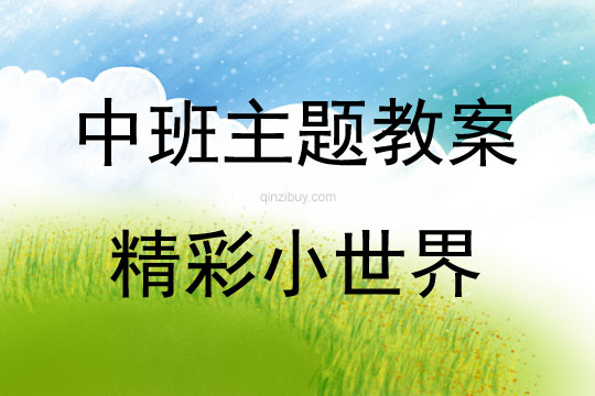 中班主題精彩小世界教案