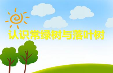 中班科學認識常綠樹與落葉樹PPT課件