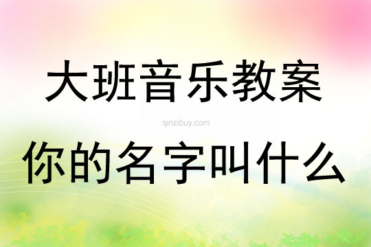 大班音樂活動你的名字叫什么教案反思