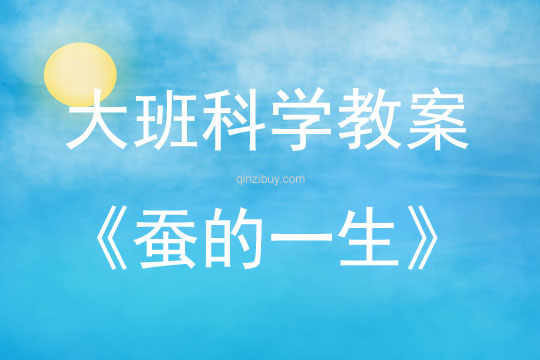 大班科學活動蠶的一生教案反思