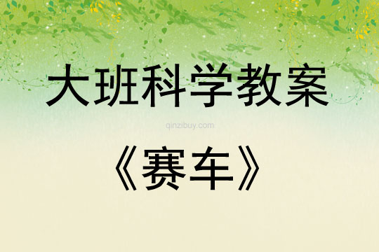大班科學(xué)賽車教案反思