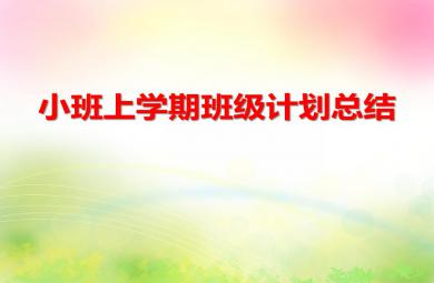 幼兒園小班上學期班級計劃總結PPT課件