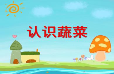 中班綜合活動認識蔬菜PPT課件