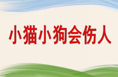 大班安全教育小貓小狗會傷人PPT課件