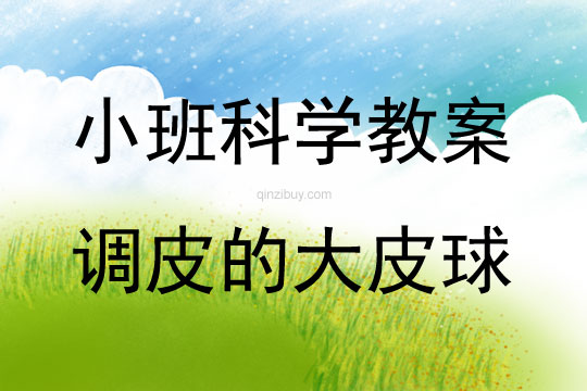 小班科學(xué)調(diào)皮的大皮球教案反思
