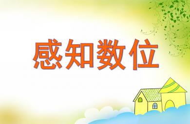 大班數學感知數位PPT課件