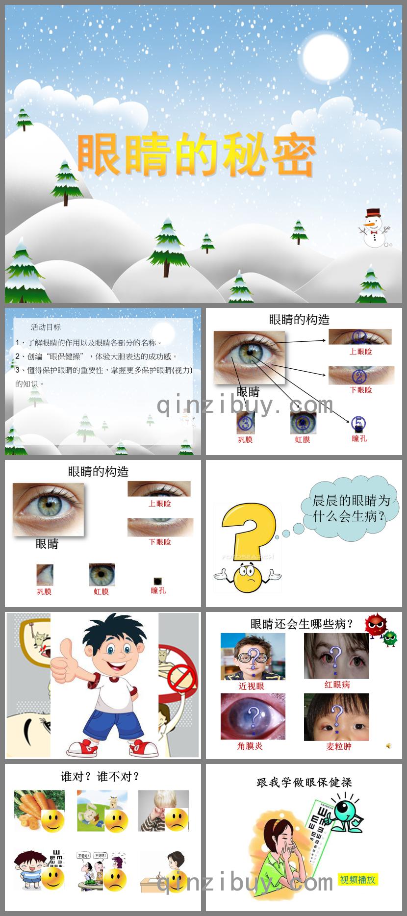 大班健康活動眼睛的秘密PPT課件