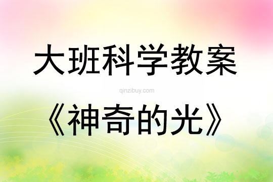大班科學活動方案神奇的光教案反思