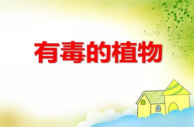 中班科學活動有毒的植物PPT課件