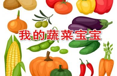 小班健康活動我的蔬菜寶寶PPT課件