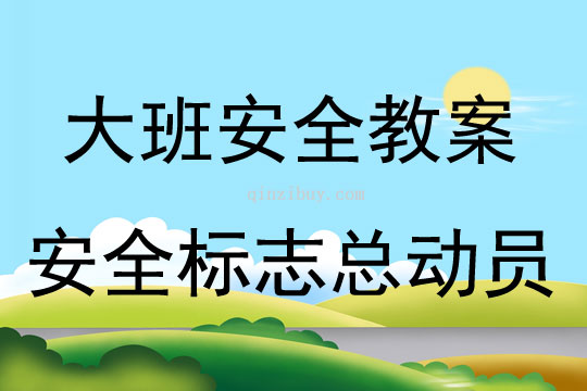 大班安全設(shè)計(jì)安全標(biāo)志總動(dòng)員教案反思