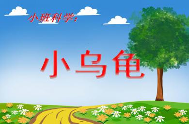 小班科學(xué)小烏龜PPT課件
