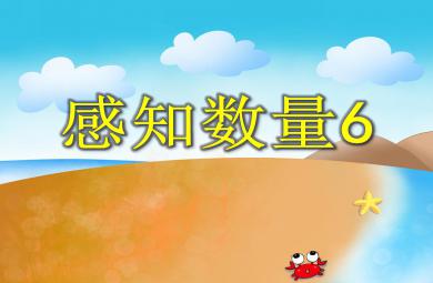 中班數(shù)學活動感知數(shù)量6 PPT課件