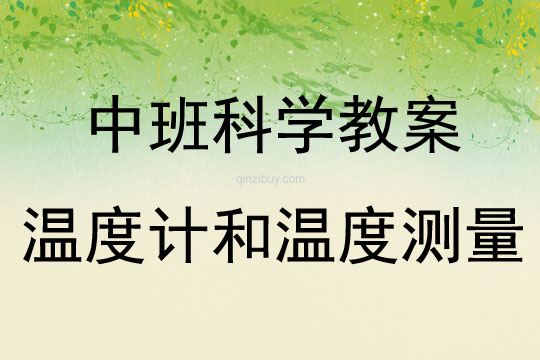 中班科學(xué)溫度計和溫度測量教案反思
