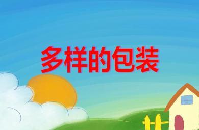 大班社會多樣的包裝PPT課件